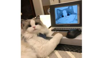 【剧情】折掌藏锋剧情梳理