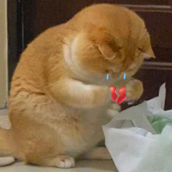 问个问题截图
