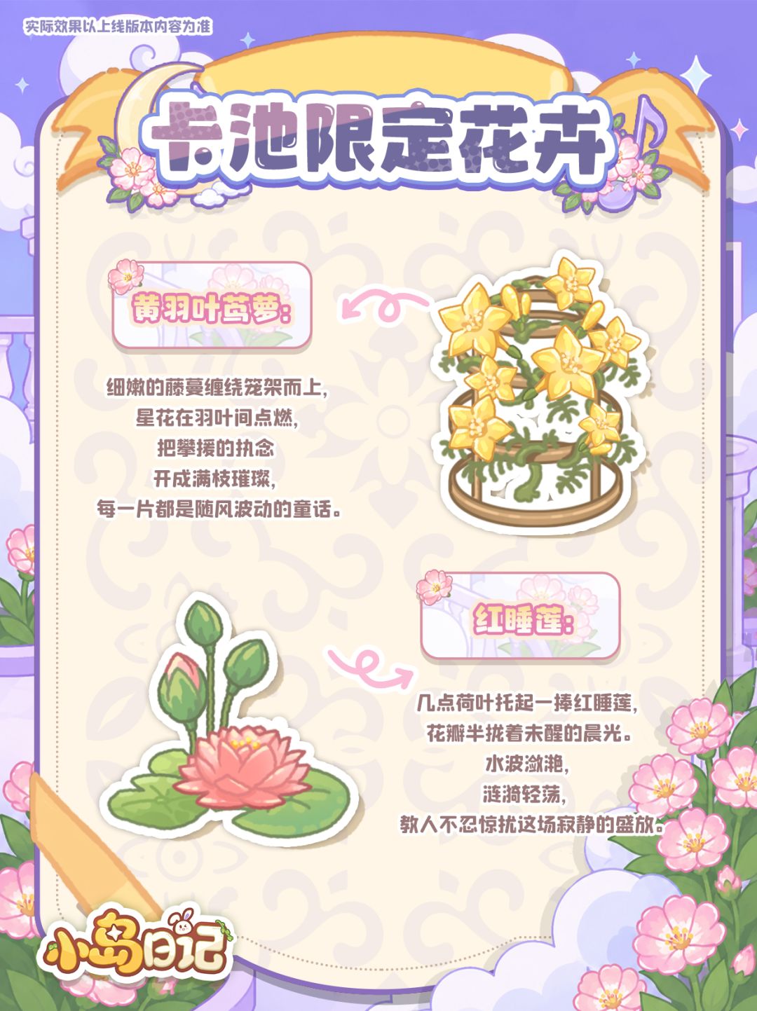 ☁️花灵预告|来自晴空的赠礼 3