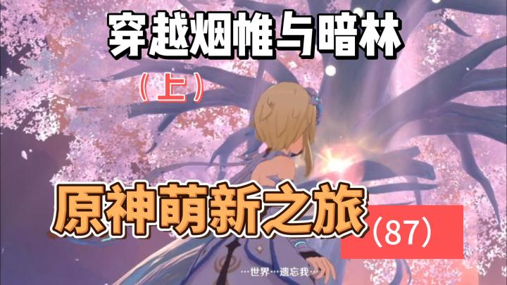从零开始玩【原神】87:穿越烟帷与暗林(上)截图