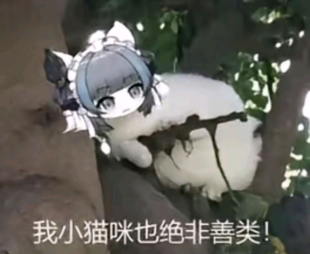 柴郡图 7