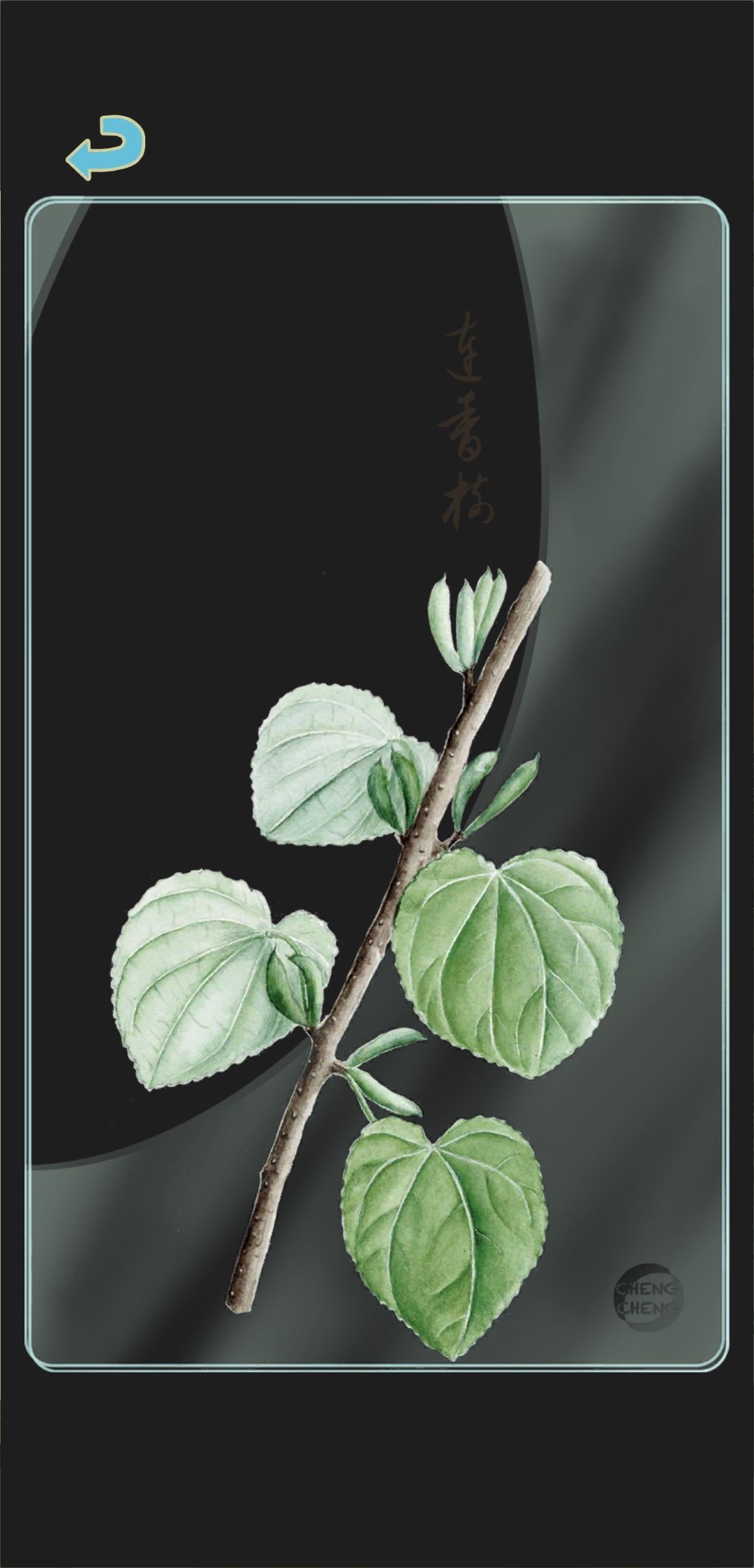 秋季树种透卡3 2