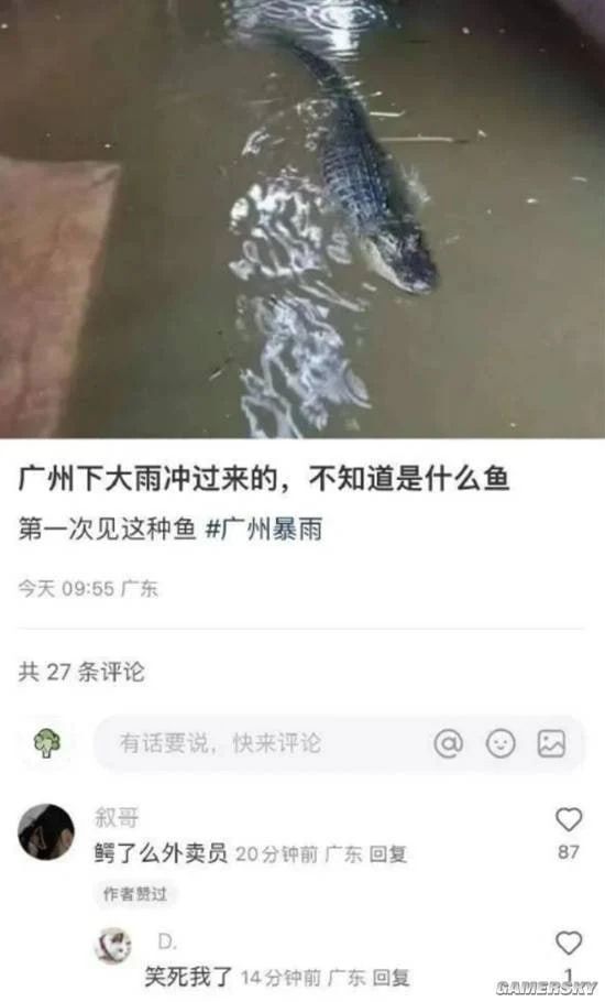 今日份梗图分享 3