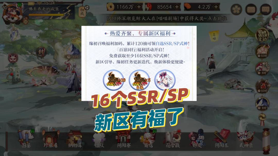 video-5655132