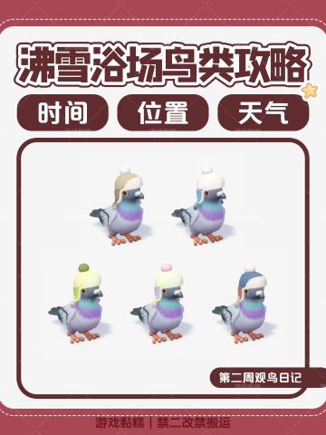 心动小镇｜沸雪浴场5个鸟类攻略【全】