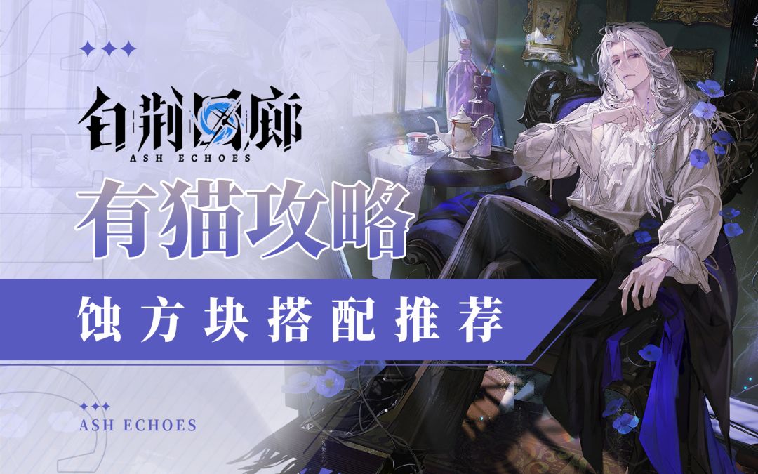 【有猫攻略】超强爆发，劲爆尾杀，白荆回廊蚀方块搭配+排轴推荐截图