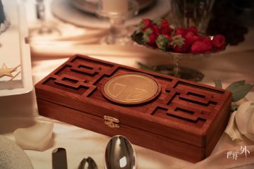 顾时夜生日特别纪念 | 同看岁聿日明