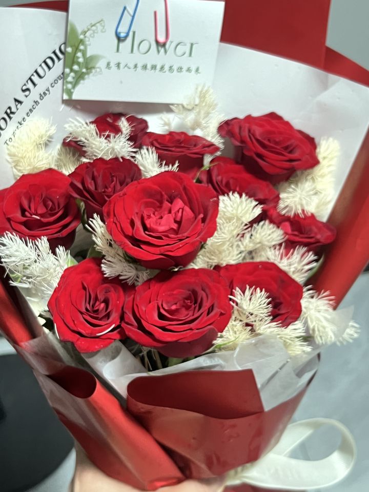 种的花收到了截图