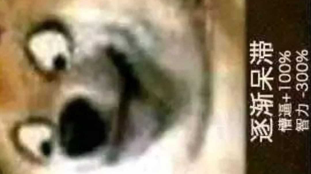 video-3810824