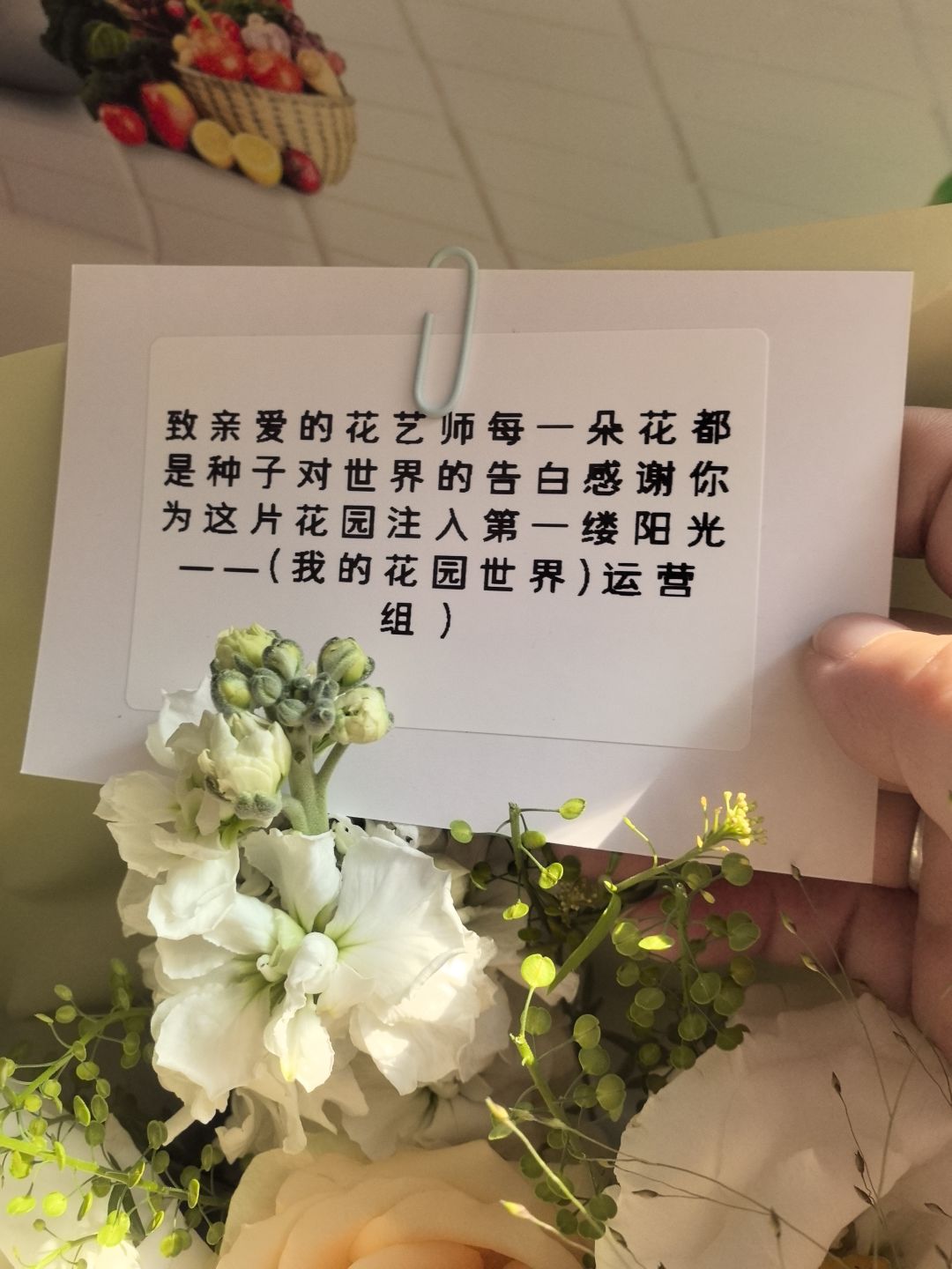 我的花园世界赢真花 3
