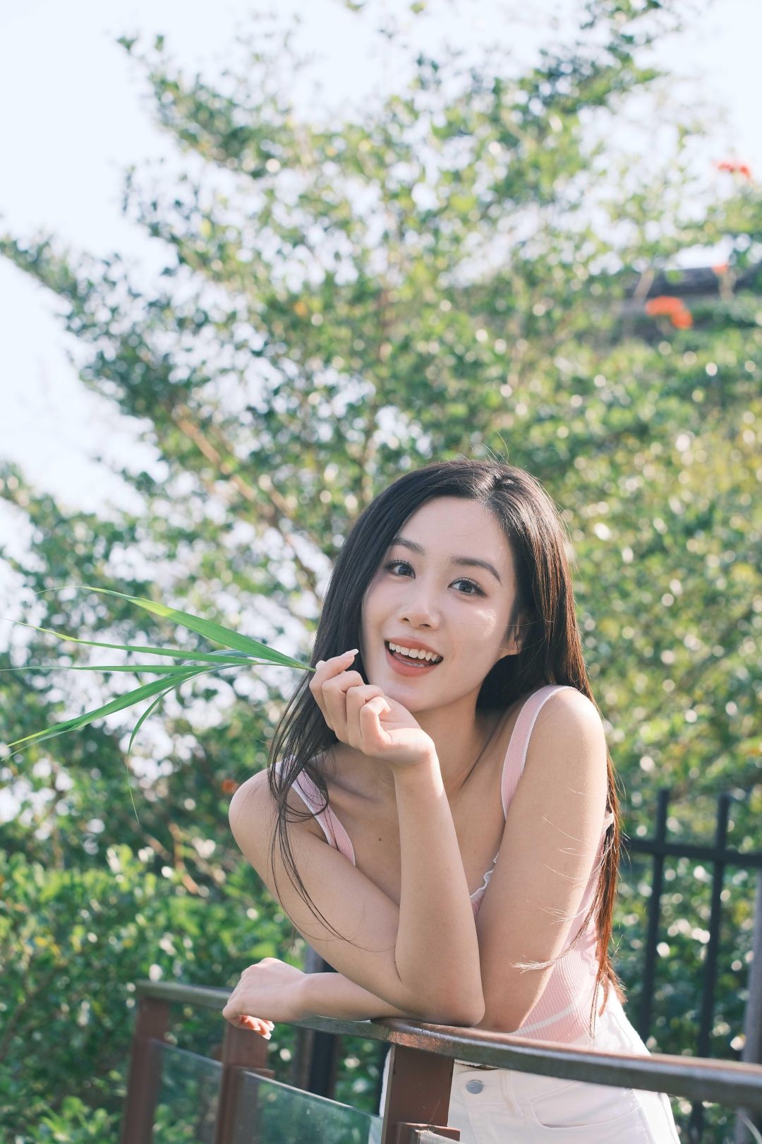 动态图片 3