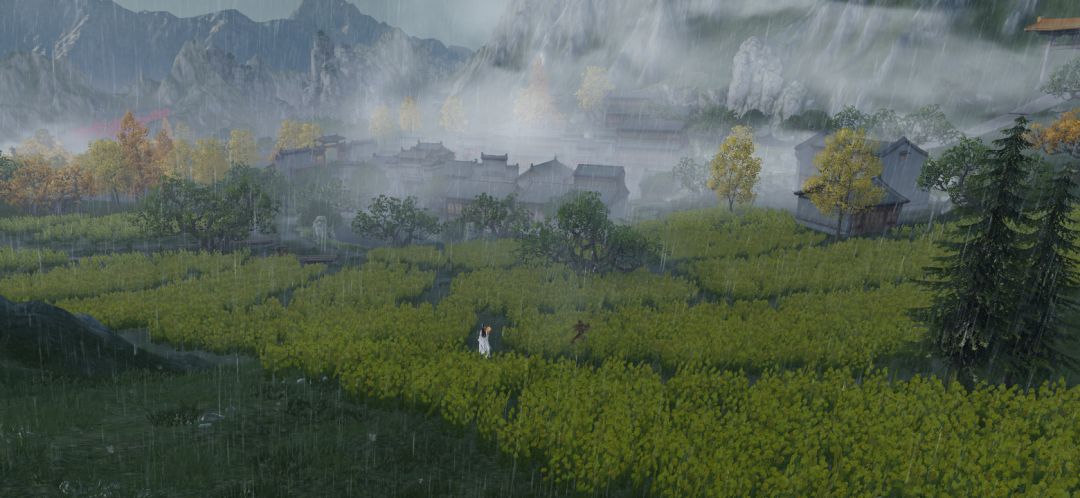 随拍 8