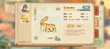 必出隐藏猫的方法