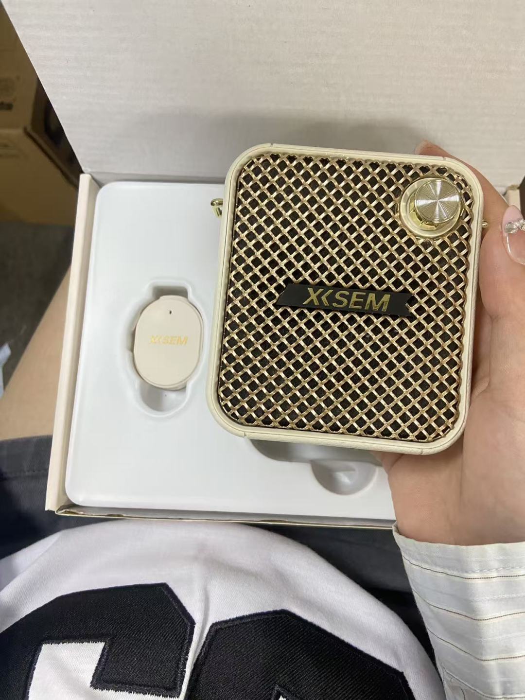 开学前的声音装备|西圣 Bee 上手感受 2