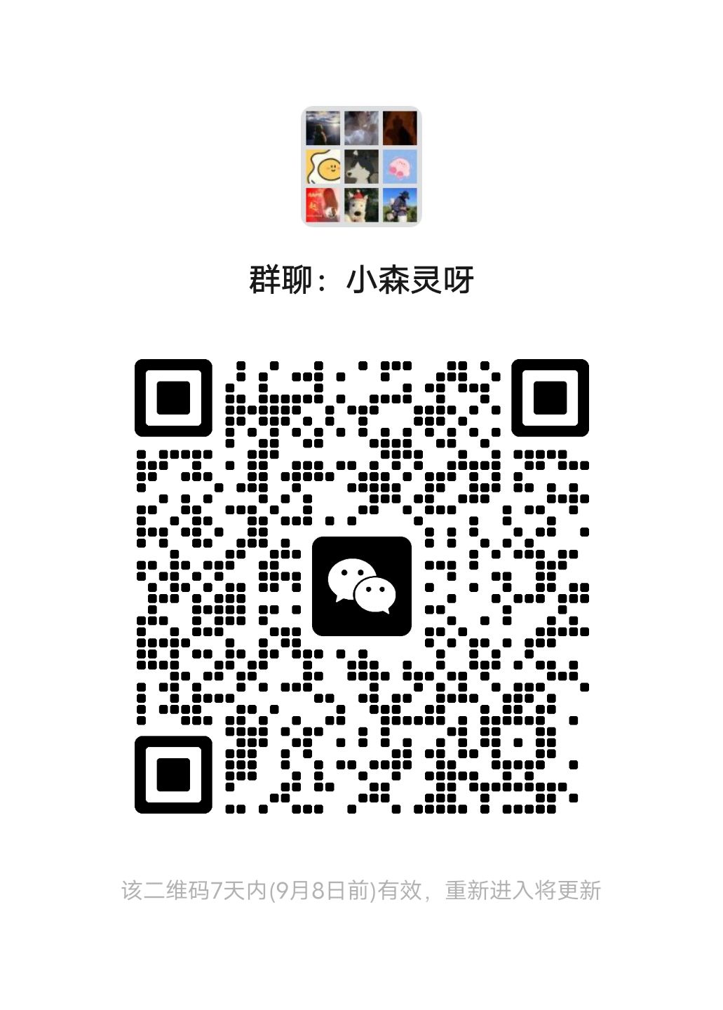 聊聊小森灵 1