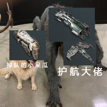 E酱走神未响应，大佬保姆式护航