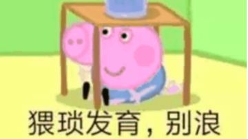 主角选择与快速发育攻略