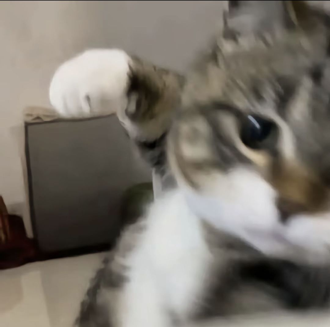 太非了 2