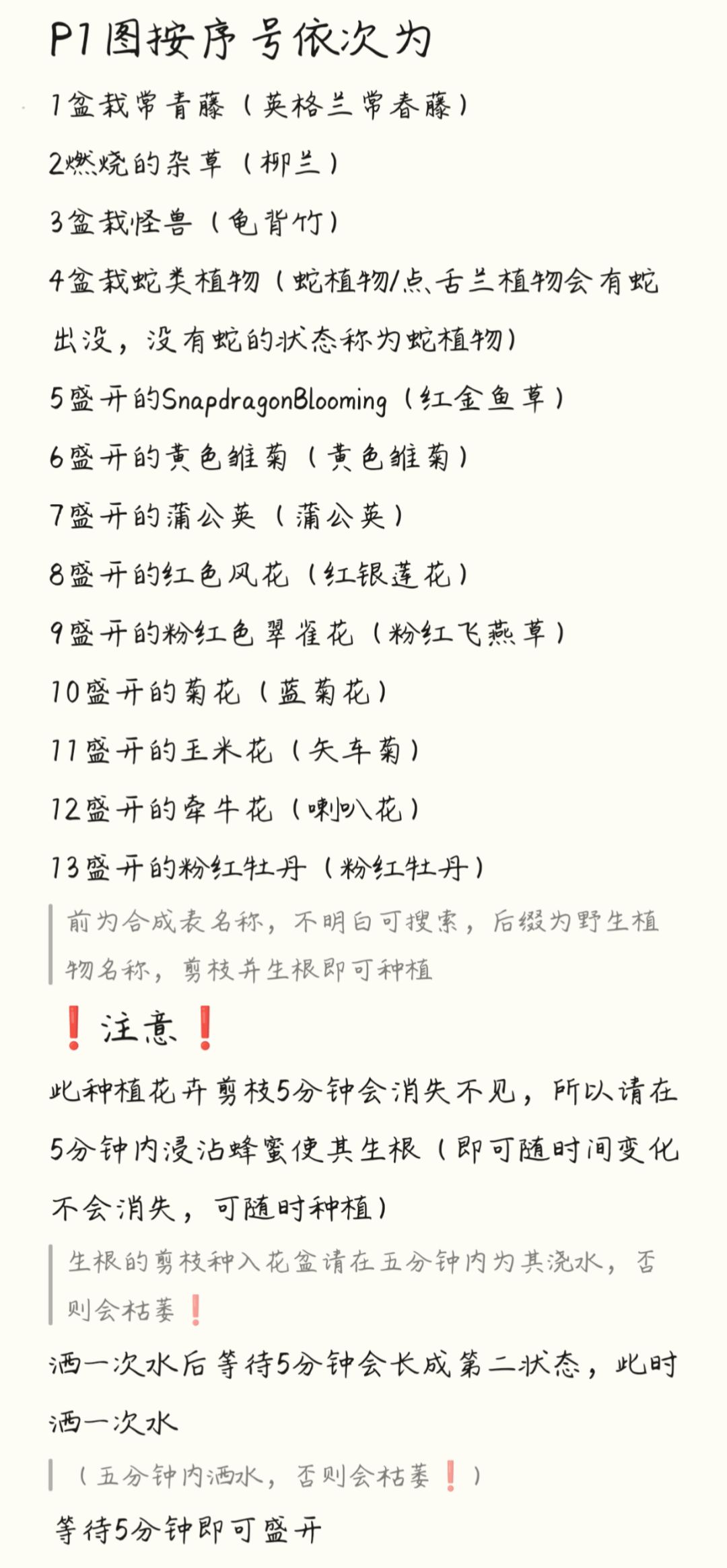 花卉种植～展示图示 2