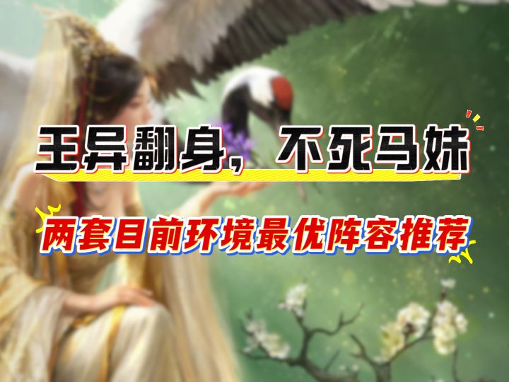 王异翻身,不死马妹,两套目前环境最优阵容推荐!截图