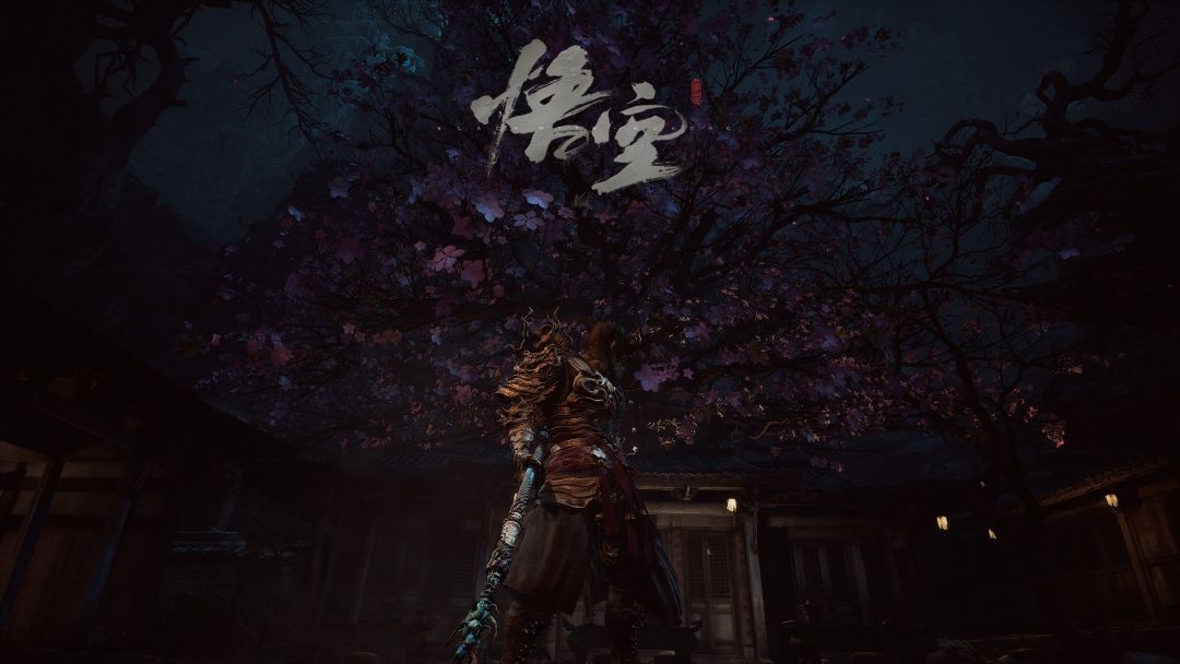 纪念 5
