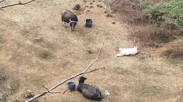 求官方做一个猜枚活动