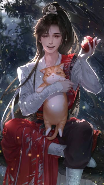 我真的真的好想猫猫