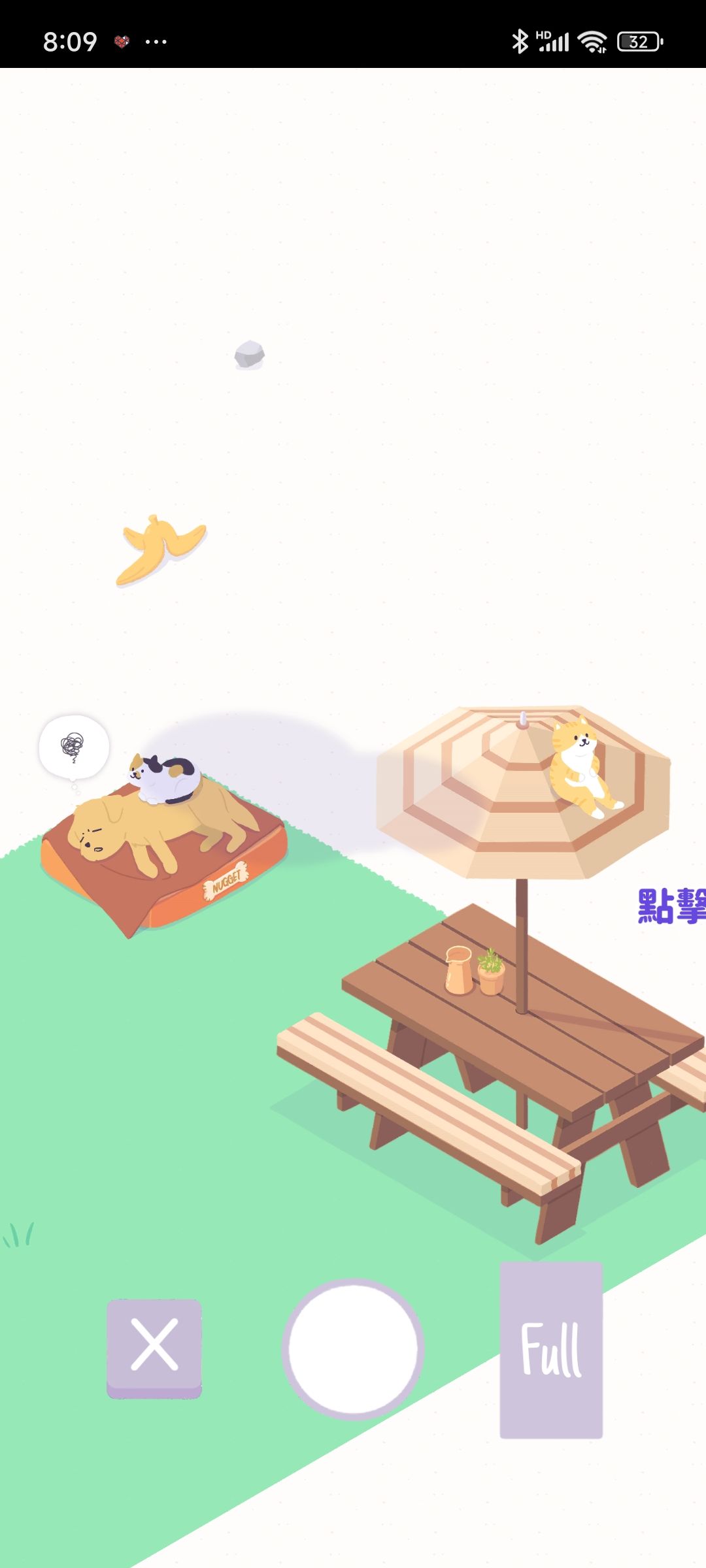 喵喵 1