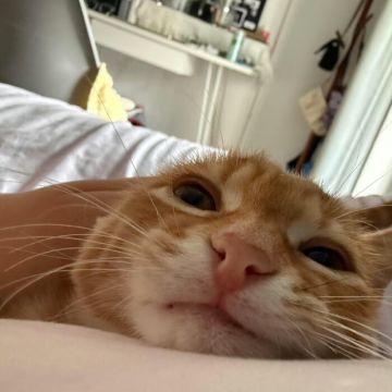 【褪羽·斯托拉斯】新水魔王群怪秘境152层出装推荐2025.10.22