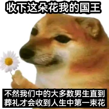 有喜欢桌游的象友吗