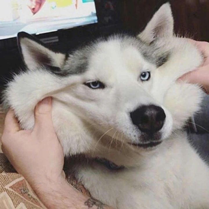 绿雪怎么玩啊截图