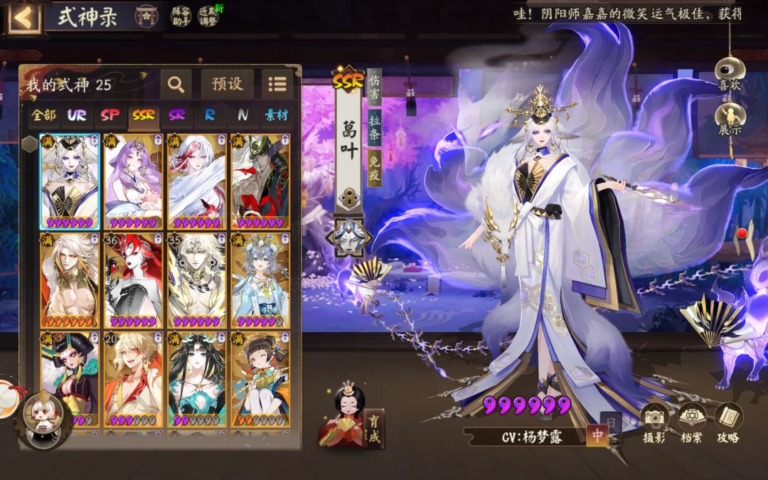 这个神券我选哪个呀 3