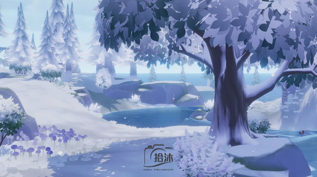嬛嬛的摄影作品来喽 15