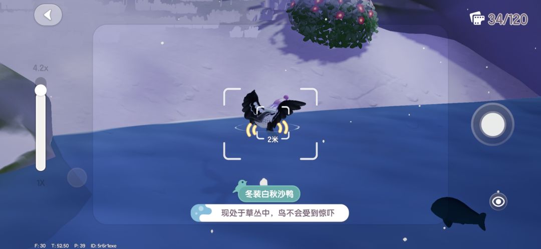 心动小镇冰雪季限定鸟攻略 3