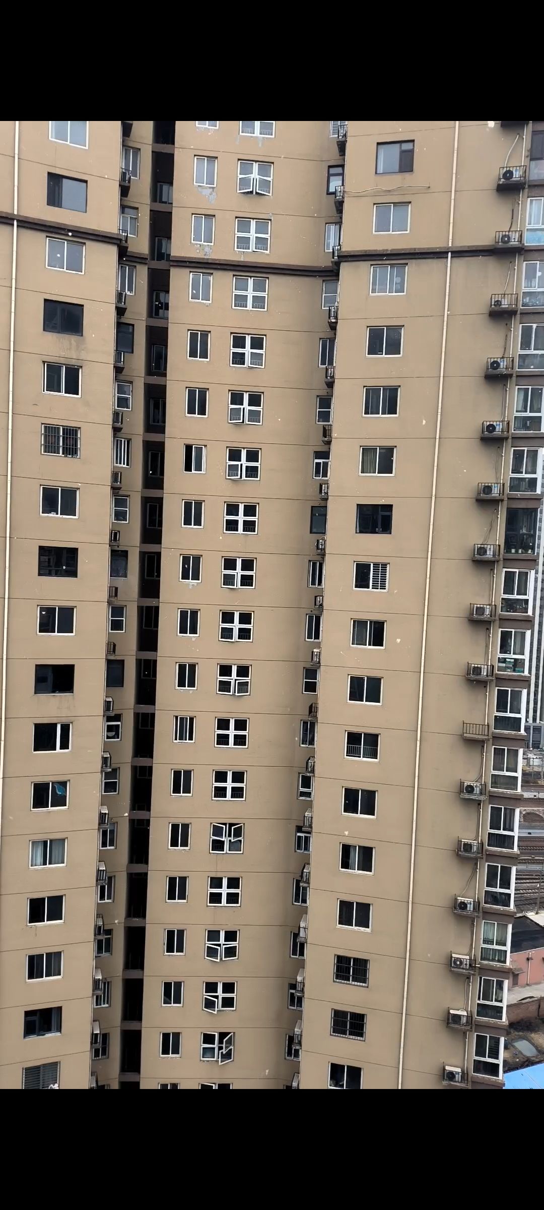 螺太用心了 2