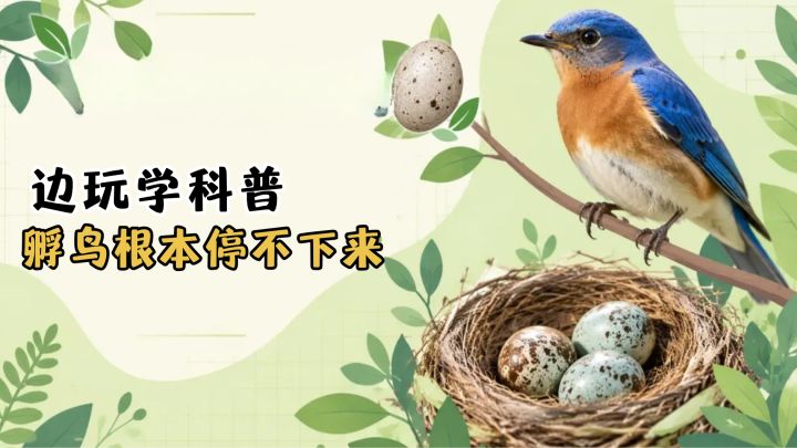 什么?让我孵蛋?居然还要给几百只鸟孵蛋?!截图