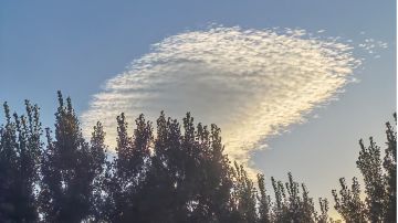 一点小小建议,,Ծ^Ծ,,