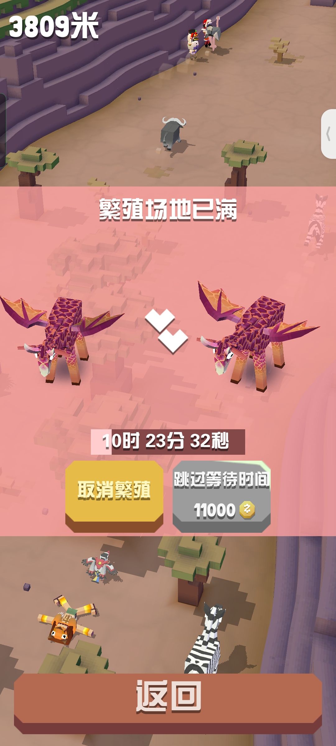 新手 1