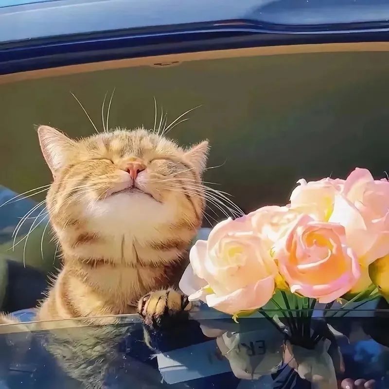 日常 1