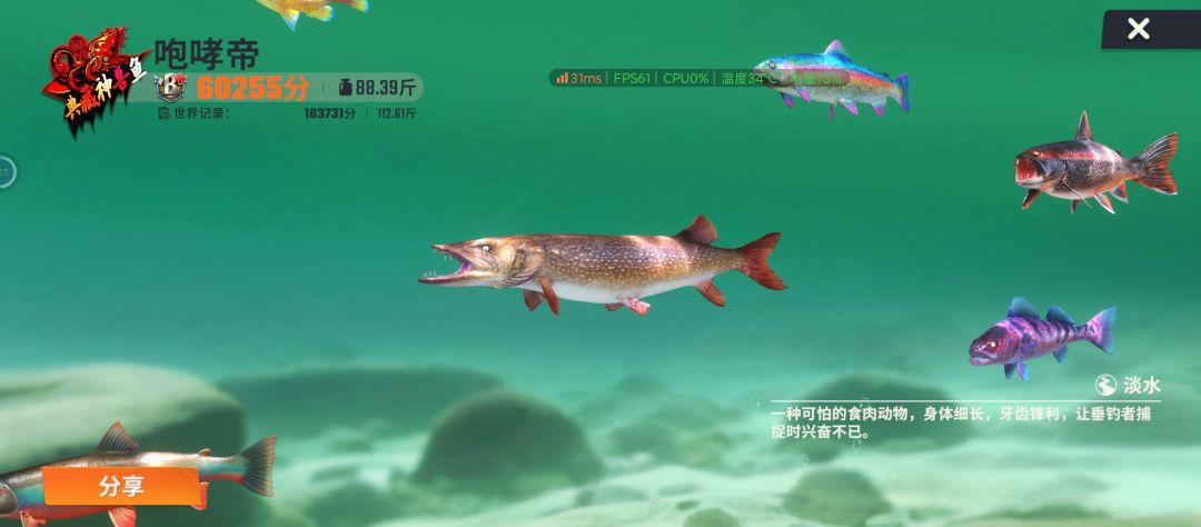 钓称号鱼的一点小小心得 2