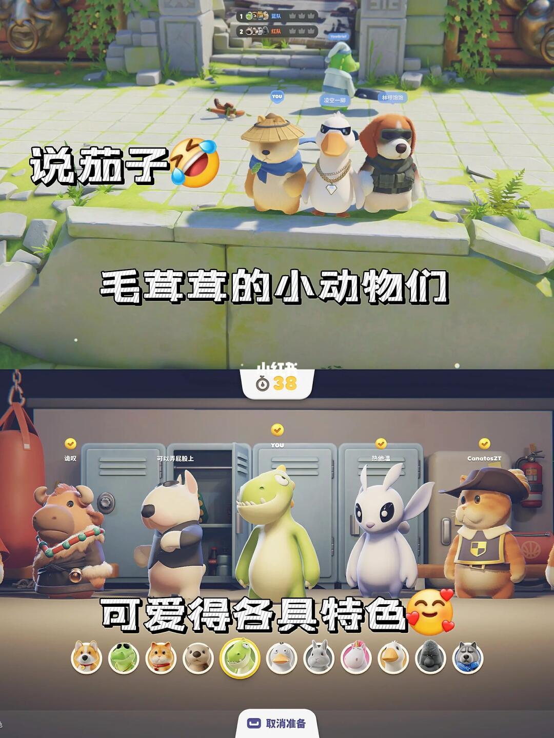《猛兽派对》｜火热小动物派对😍可爱满分 2