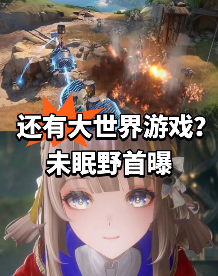 还有大世界游戏?未眠野首曝截图