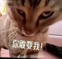 求大佬加好友 3