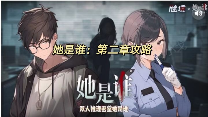 她是谁：第二章攻略截图