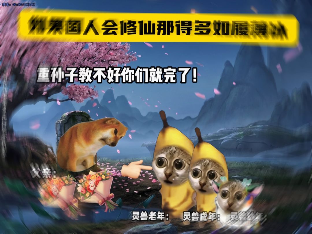 video-5677394