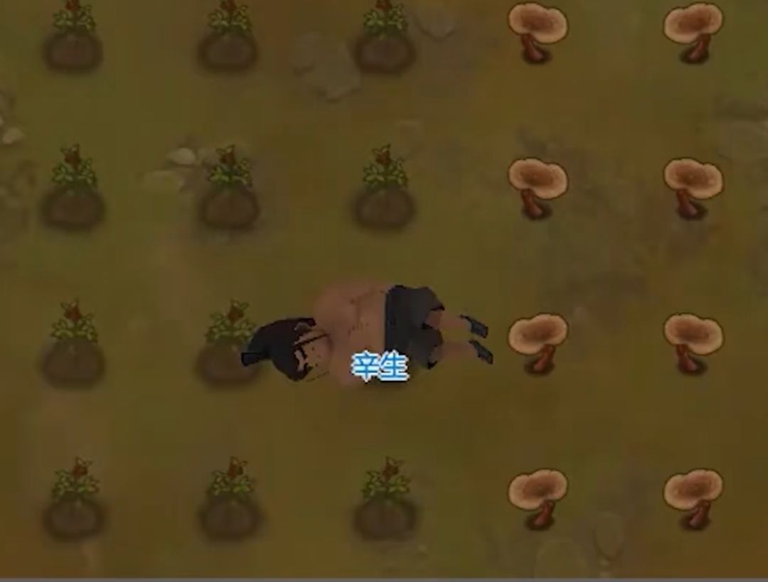死了的不要浪费,通扒光之后拿去肥田 1