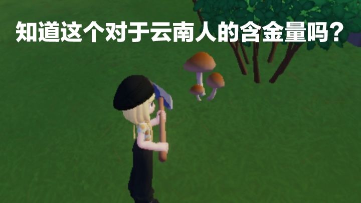 懂一个云南人对于它的含金量吗? 3