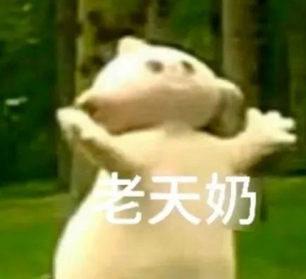 动态图片 5