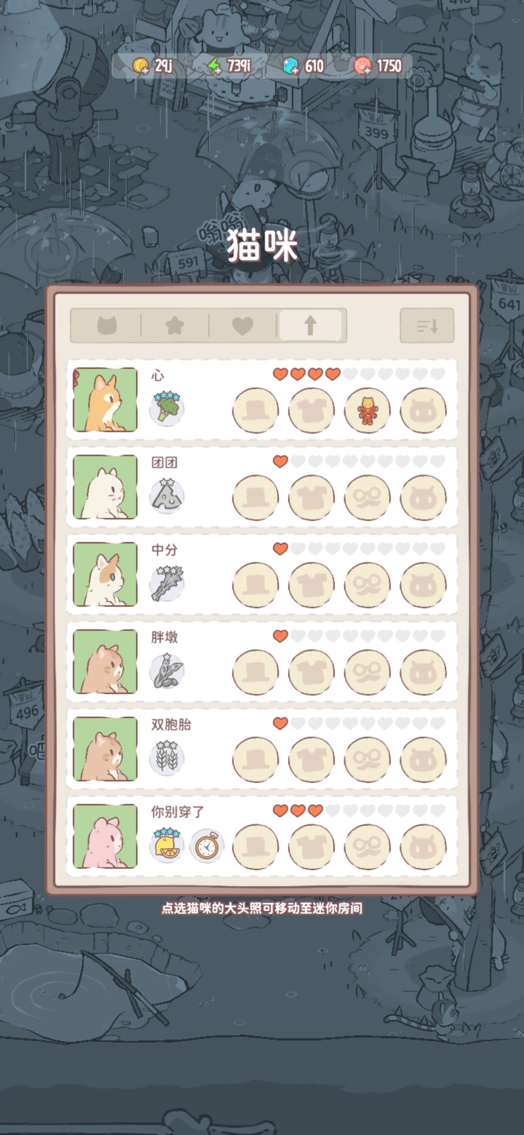 用来记录给猫猫取的名 2