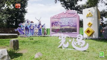定格足迹 自然寄语｜《光·遇》大理文旅活动回顾